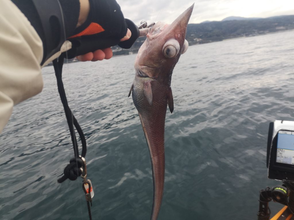 魚 ブサイク 深海