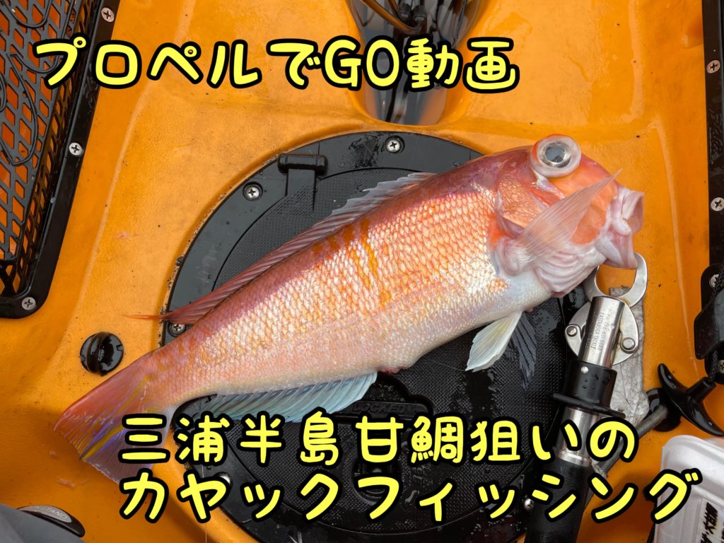 Nの海甘鯛狙いカヤックフィッシング動画 プロペルでgo